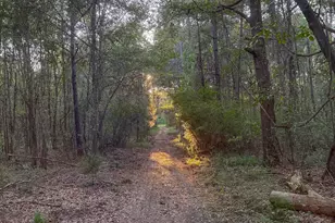 105 Buchanan Rd, Americus, GA 31719 - Photo 25