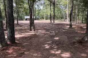 105 Buchanan Rd, Americus, GA 31719 - Photo 29