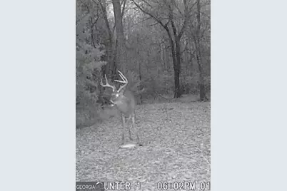 105 Buchanan Road, Americus, GA 31719 - Photo 27