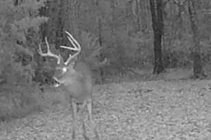 105 Buchanan Rd, Americus, GA 31719 - Photo 31