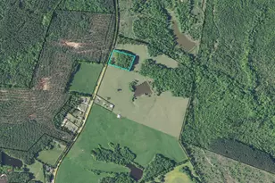 2578 Sandy Cross Rd, Crawfordville, GA 30631 - Photo 11