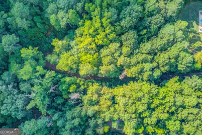 6350 Blackjack Road, Flowery Branch, GA 30542 - Photo 9