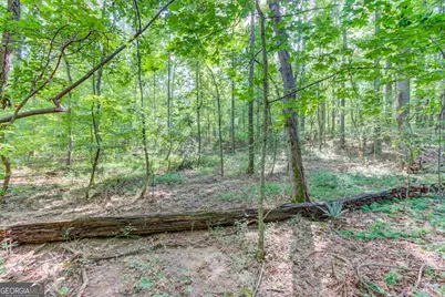 6350 Blackjack Road, Flowery Branch, GA 30542 - Photo 11