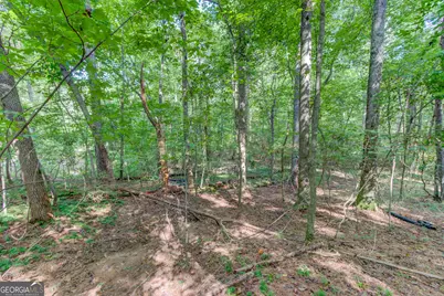 6350 Blackjack Road, Flowery Branch, GA 30542 - Photo 13