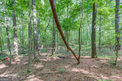 6350 Blackjack Road, Flowery Branch, GA 30542 - Photo 17