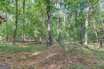 6350 Blackjack Road, Flowery Branch, GA 30542 - Photo 15