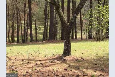 1305 &amp; 1307 Hwy 54 Highway E, Fayetteville, GA 30214 - Photo 9