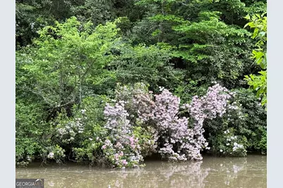 Lot 36 Habersham Mills, Demorest, GA 30535 - Photo 7