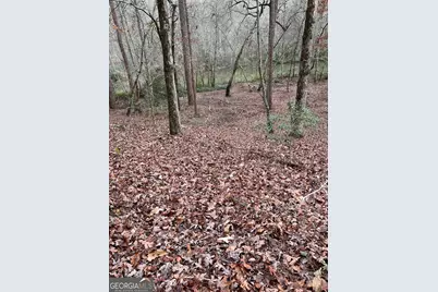 Lot 36 Habersham Mills, Demorest, GA 30535 - Photo 13