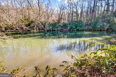 Lot 36 Habersham Mills, Demorest, GA 30535 - Photo 17