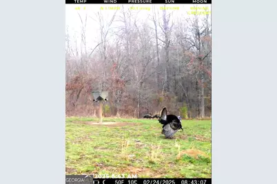 240 80 Highway, Culloden, GA 31016 - Photo 3