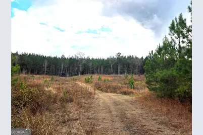 240 80 Highway, Culloden, GA 31016 - Photo 29