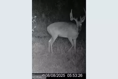 240 80 Highway, Culloden, GA 31016 - Photo 51