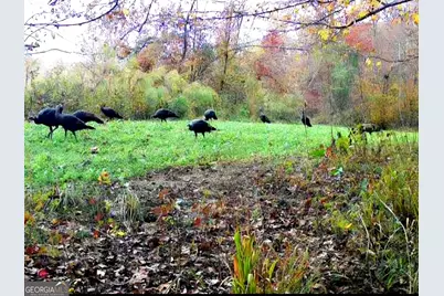 240 80 Highway, Culloden, GA 31016 - Photo 43