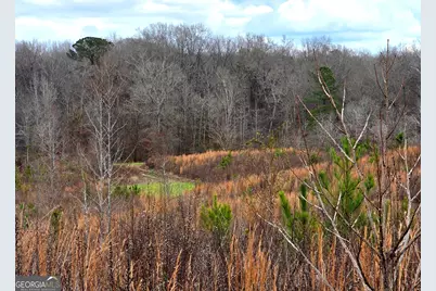 240 80 Highway, Culloden, GA 31016 - Photo 35