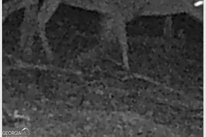 240 80 Highway, Culloden, GA 31016 - Photo 57