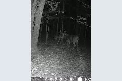 240 80 Highway, Culloden, GA 31016 - Photo 55