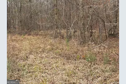 240 80 Highway, Culloden, GA 31016 - Photo 25