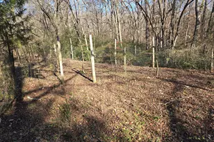 646 Walters Rd, Lavonia, GA 30553 - Photo 7