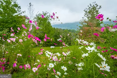 443 Back Valley Road, Chickamauga, GA 30707 - Photo 73