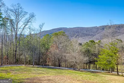 443 Back Valley Road, Chickamauga, GA 30707 - Photo 19