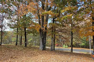 80 Gales Way, Newnan, GA 30263 - Photo 23