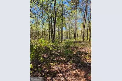 0 Crawfords Ferry Point, Hartwell, GA 30643 - Photo 1