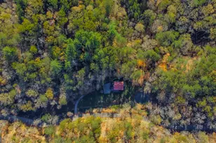 475 Holden Rd, Ellijay, GA 30540 - Photo 49