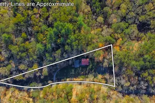 475 Holden Rd, Ellijay, GA 30540 - Photo 51