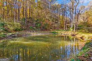 475 Holden Rd, Ellijay, GA 30540 - Photo 45