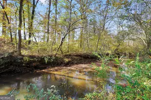 196 Magnolia Trce, Milner, GA 30257 - Photo 47