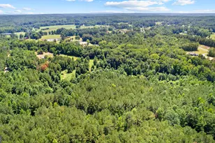 493 Boone Rd, Newnan, GA 30263 - Photo 99