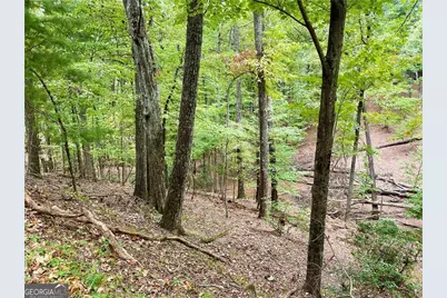 327 Grouse Gap Drive, Jasper, GA 30143 - Photo 23