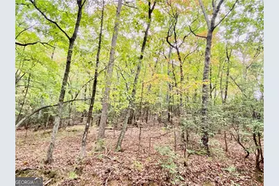 327 Grouse Gap Drive, Jasper, GA 30143 - Photo 19