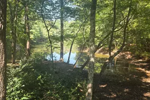 5656 Hamilton Rd, Pine Mountain, GA 31822 - Photo 71