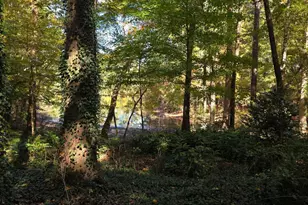 5656 Hamilton Rd, Pine Mountain, GA 31822 - Photo 75