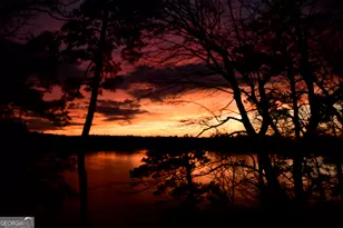 265 Shoreline Dr, Monticello, GA 31064 - Photo 47