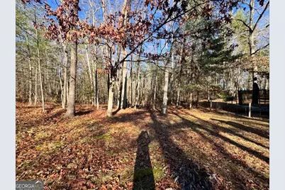 338 Honaker Road, Blairsville, GA 30512 - Photo 37