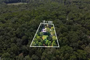 1947 Ivy Mountain Rd, Clarkesville, GA 30523 - Photo 39