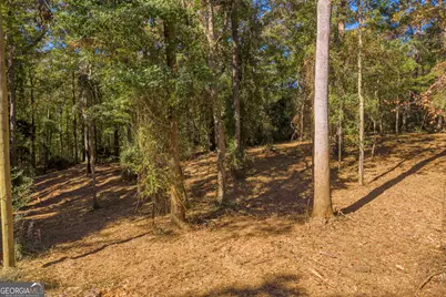 0 Locust Street #LOT 6, Hartwell, GA 30643 - Photo 9