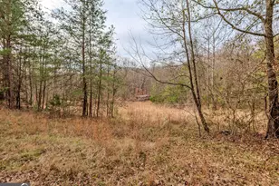 0 Andrews Subdivision Lot 5B & 6, Lavonia, GA 30553 - Photo 1