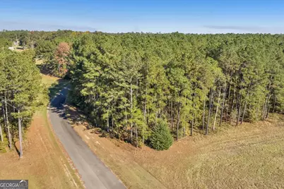 Lot 41 Sweet Magnolia Circle, Dublin, GA 31021 - Photo 9