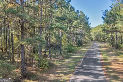 Lot 41 Sweet Magnolia Circle, Dublin, GA 31021 - Photo 13