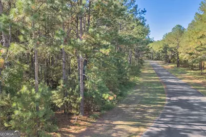 Lot 41 Sweet Magnolia Circle, Dublin, GA 31021 - Photo 11