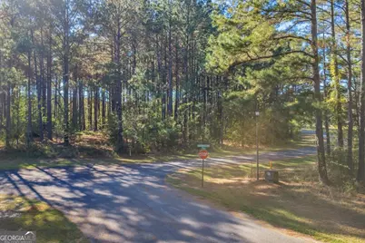 Lot 41 Sweet Magnolia Circle, Dublin, GA 31021 - Photo 3