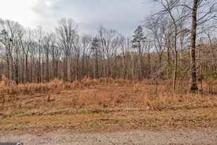 0 Andrews Subdivision Lot 7, Lavonia, GA 30553 - Photo 1