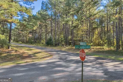 Lot 43 Sweet Magnolia Circle, Dublin, GA 31021 - Photo 5