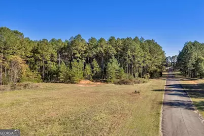 Lot 43 Sweet Magnolia Circle, Dublin, GA 31021 - Photo 7