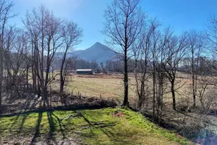 2045 Upper Bell Creek Rd, Hiawassee, GA 30546 - Photo 37