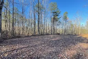 300 Dugdown Rd, Buchanan, GA 30113 - Photo 29